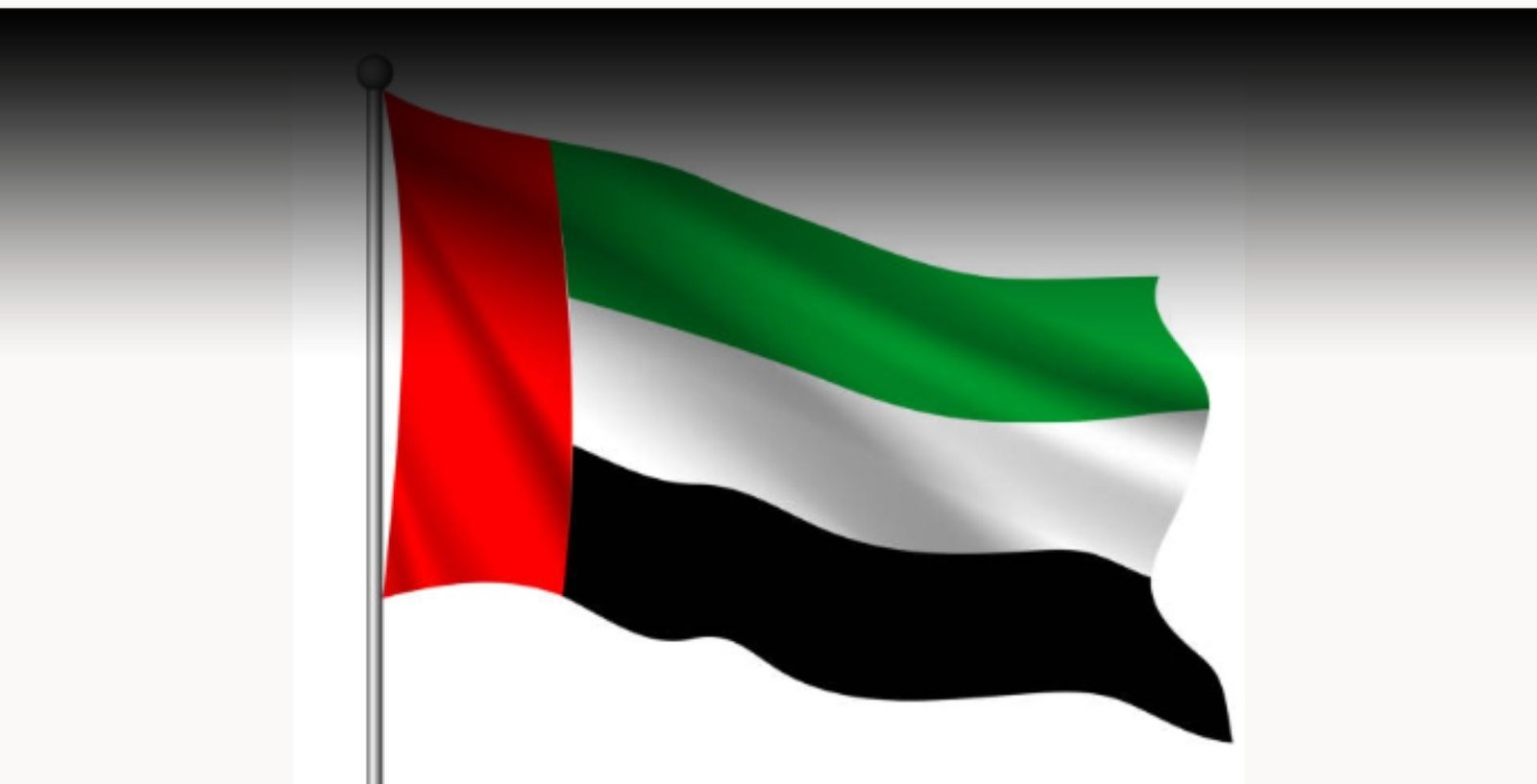 uae flag
