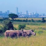 tourism rwanda (7)