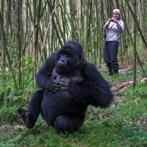 tourism rwanda (28)
