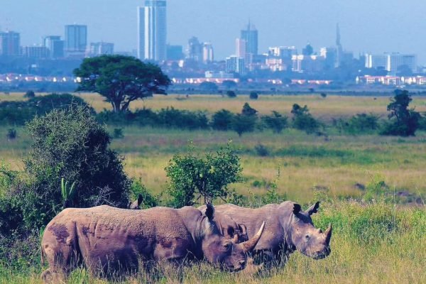 tourism rwanda (7)